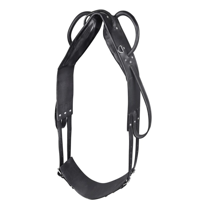 Surfaix für Voltigier- und Longenreiten Star