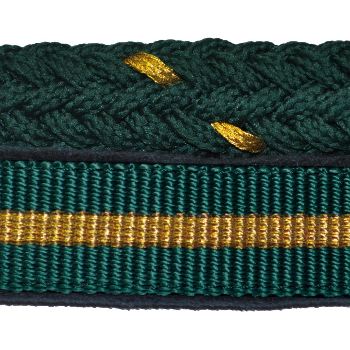 Set aus Halfter + Longiergurt aus Lurex Canter