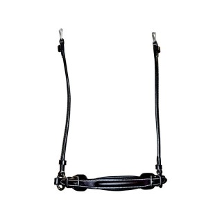 Deutsches Reithalfter Pferd Flags&Cup