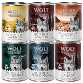 Wolf of Wilderness Adult - "The Taste Of" 6 / 24 x 400 g - 6 x 400g: Mixpaket Canada, Scandinavia, Mediterranean, Outback, Sa