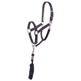 Pferdehalfter und Leine aus Nylonleder ANKY