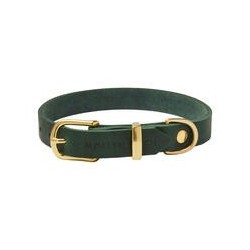 Molly &amp, Stitch Butter Leder Hundehalsband [Waldgrün/Gold - M: 32 - 38 cm x  20 mm]