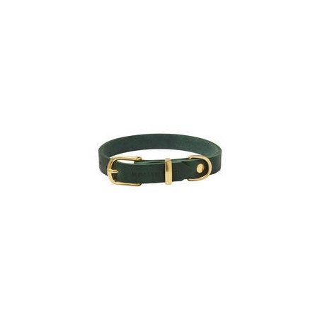 Molly &amp, Stitch Butter Leder Hundehalsband [Waldgrün/Gold - M: 32 - 38 cm x  20 mm]