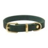 Molly &amp, Stitch Butter Leder Hundehalsband [Waldgrün/Gold - M: 32 - 38 cm x  20 mm]