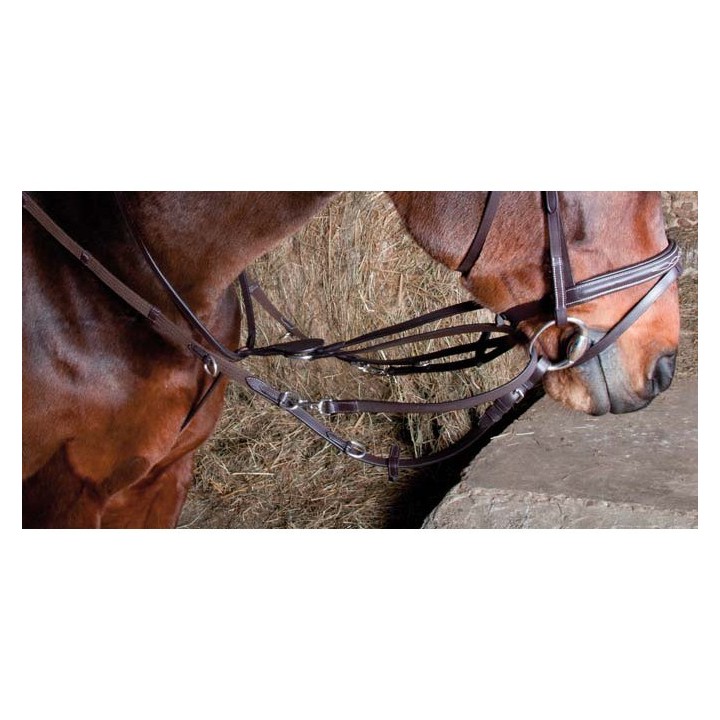 Elastisches Zaumzeug für Howlett-Pferde T de T