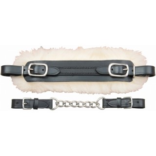 Reithalfter Pferd von hackamore T de T