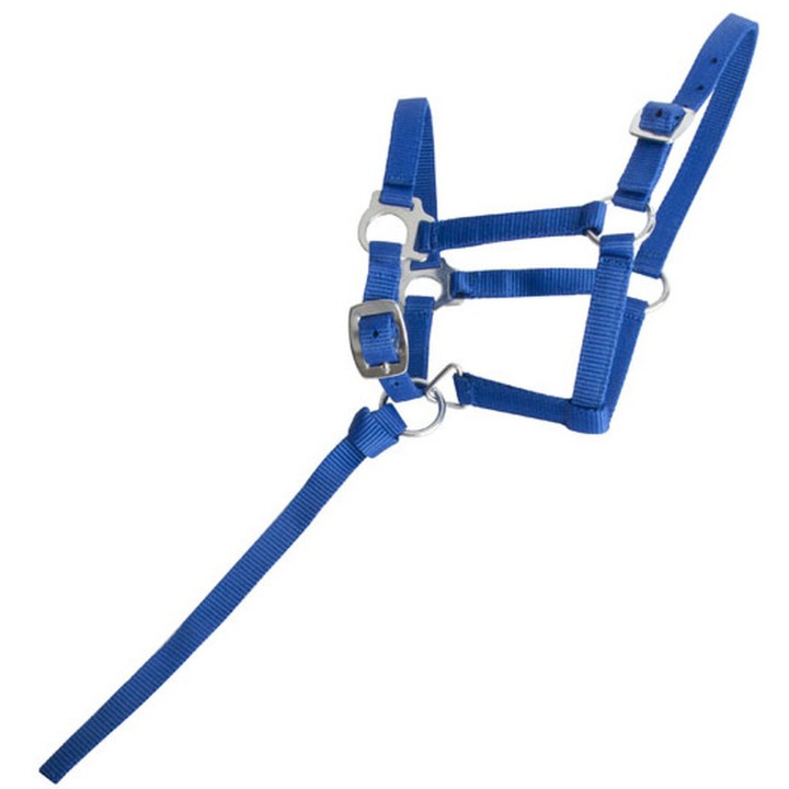 Fohlenhalfter T de T