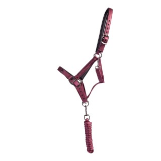 Set aus Halfter und Longiergurt für Pferde QHP Lily