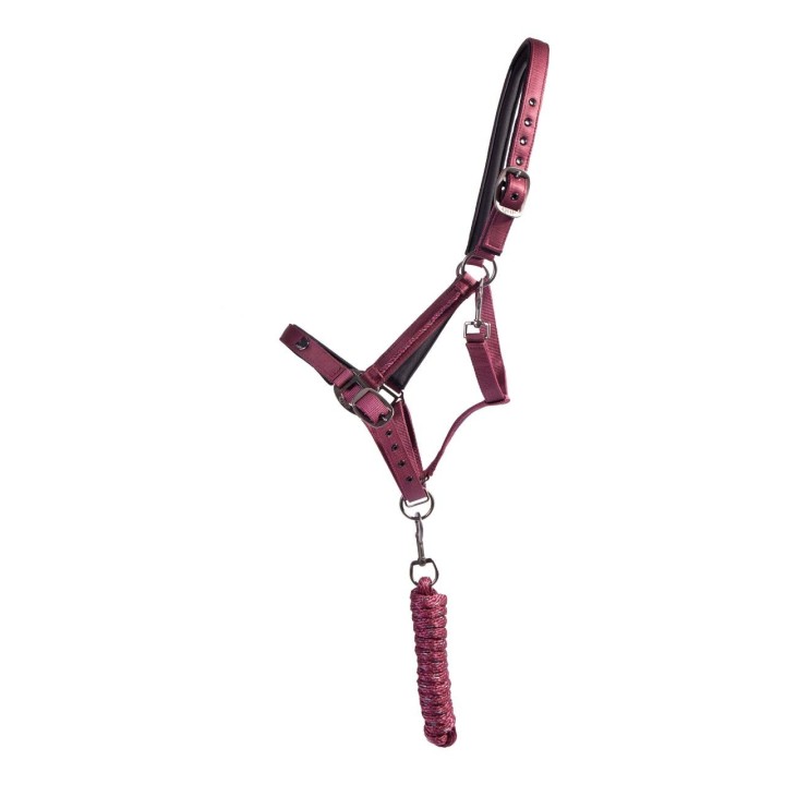 Set aus Halfter und Longiergurt für Pferde QHP Lily
