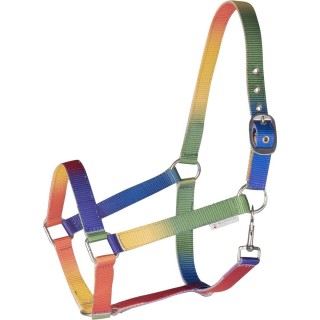 Halsband für Shetland-Ponys Waldhausen Arc-en-ciel