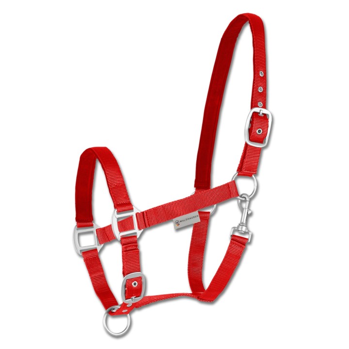 Satinhalfter für Pferde Waldhausen