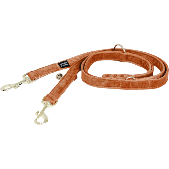 Kentucky Dogwear Hundeleine "Velvet" 200 cm - orange