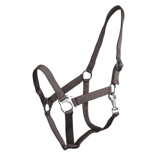 Halfter mit Schiebemechanismus Q-essentials