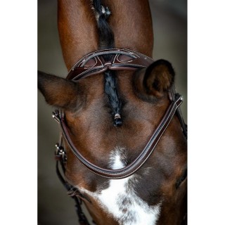 Reittrense aus veganem Leder Montar Monarch Jumping ECO