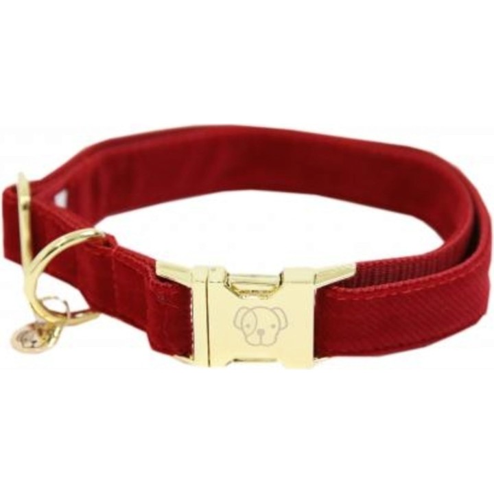 Kentucky Dogwear Hundehalsband "Corduroy" rot - S  (28-40 cm)