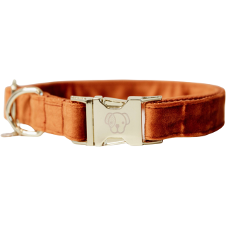 Kentucky Dogwear Hundehalsband "Velvet" orange - XXS (18-26) cm