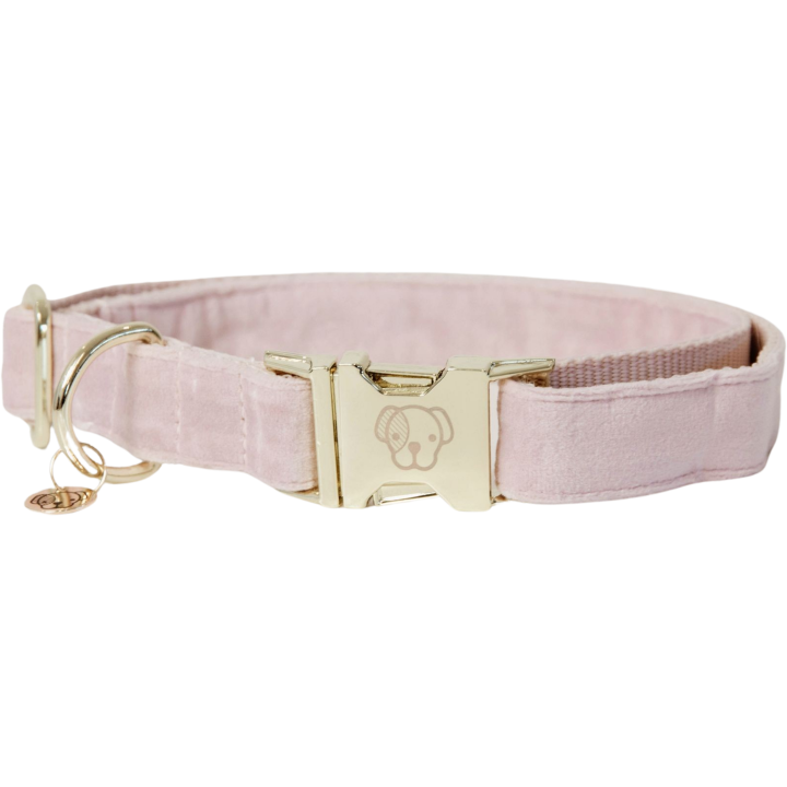 Kentucky Dogwear Hundehalsband "Velvet" soft rose - M (36-52) cm