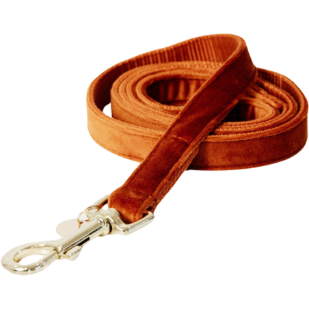 Kentucky Dogwear Hundeleine "Velvet" 120 cm - orange