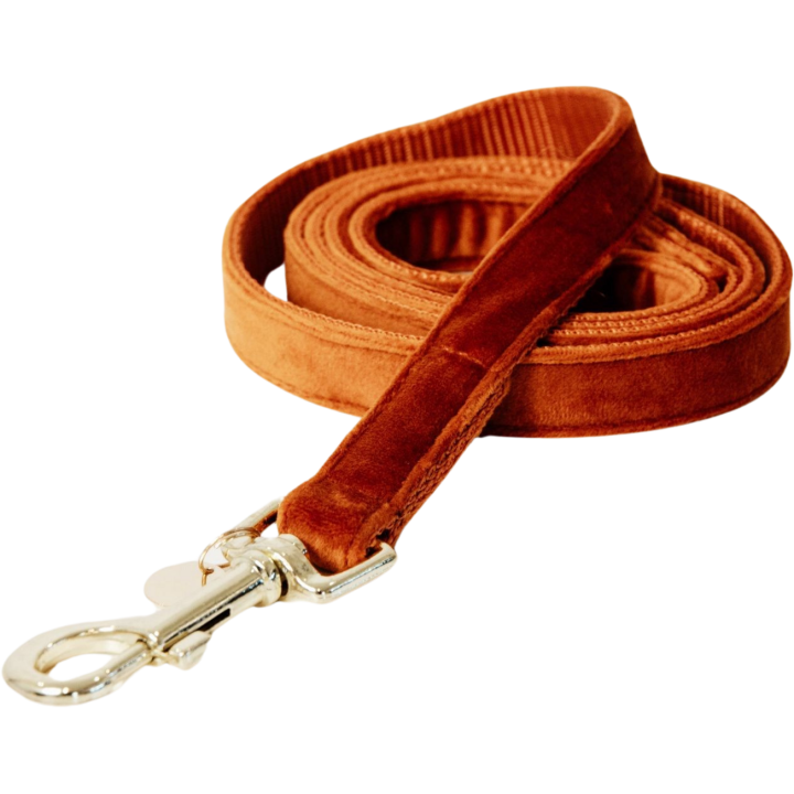 Kentucky Dogwear Hundeleine "Velvet" 120 cm - orange