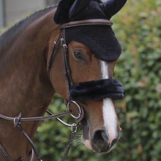 Scheide für Reithalfter Schaf Kentucky