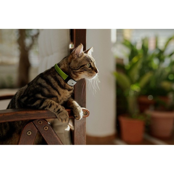 Gps-/Aktivitäts-Halsband für Katzen Kippy