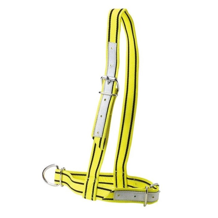 Nylonhalfter für Kühe Kamer