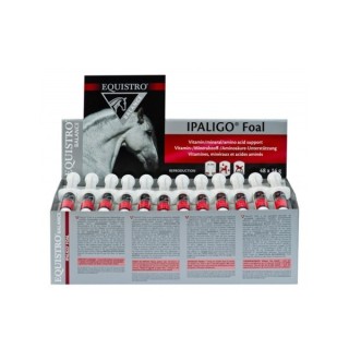 Ergänzungsmittel für Pferde Vetoquinol Equistro Ipaligo Foal (x48)