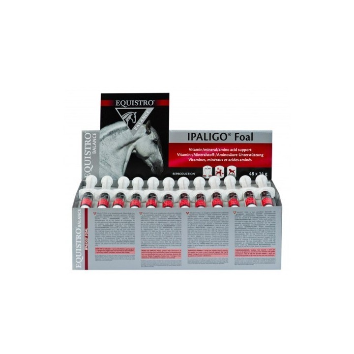 Ergänzungsmittel für Pferde Vetoquinol Equistro Ipaligo Foal (x48)