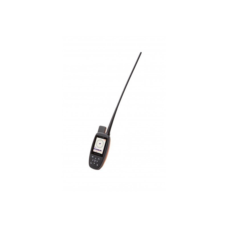 Fernbedienung Num'axes Canicom GPS