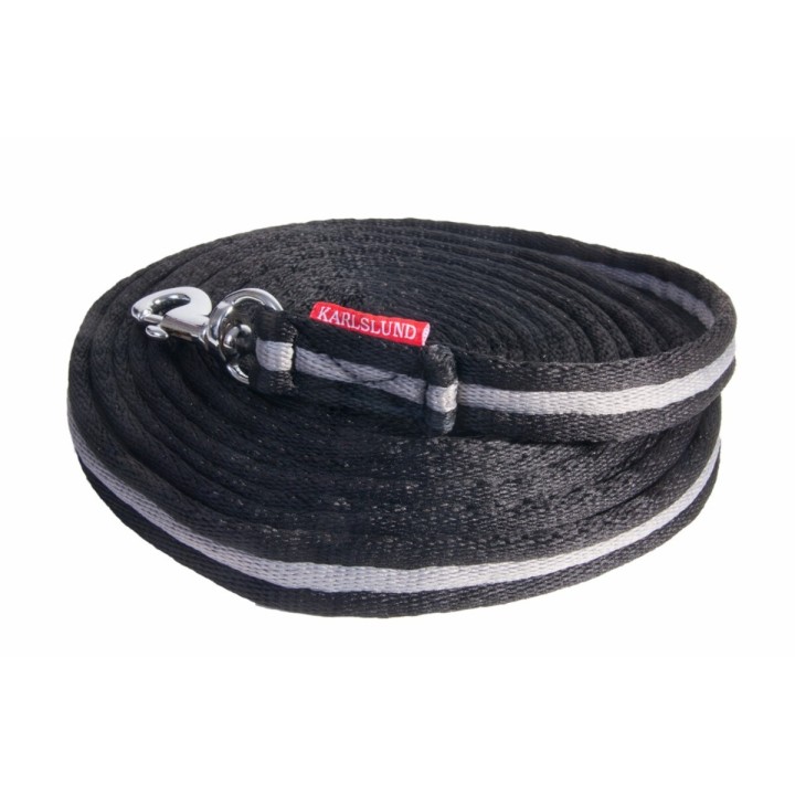 Longe Reiten Karlslund