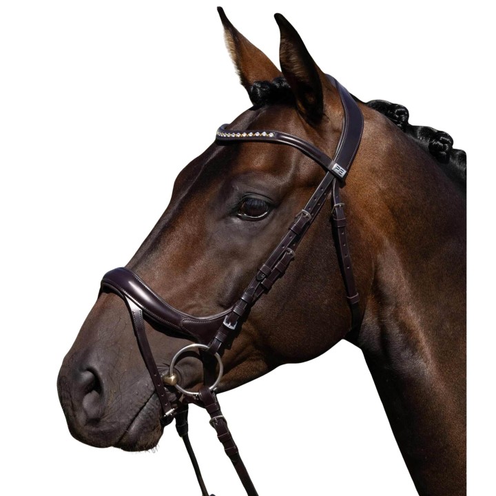 Reiterbraut Premier Equine Palazzo