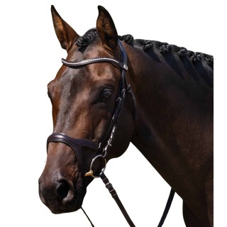 Reiterbraut Premier Equine San Paolo