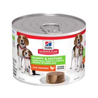Hill's Science Plan Puppy & Mother Tender Mousse - Huhn - 12 x 200 g