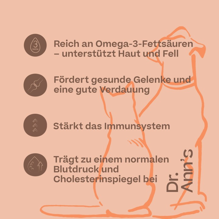 Dr. Ann's Salmon Oil - 250 ml