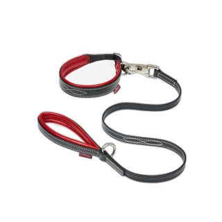 Hundehalsband und Leine Kind LeMieux