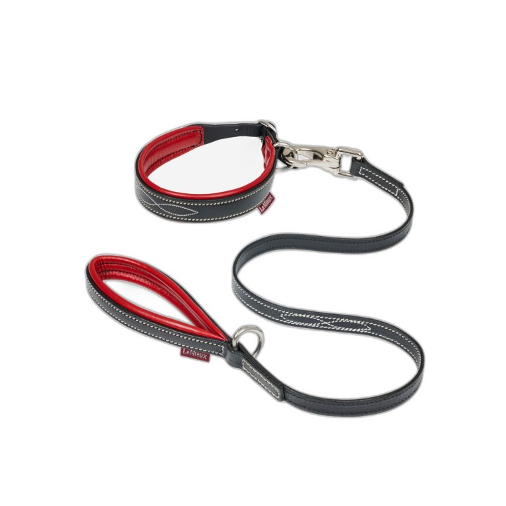 Hundehalsband und Leine Kind LeMieux