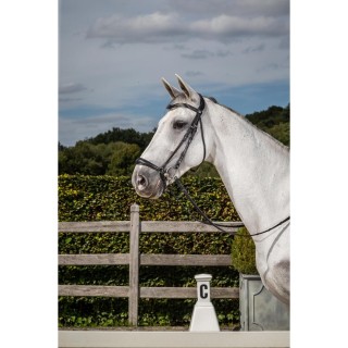 Deutsche Reittrensen Reithalfter Dy’on