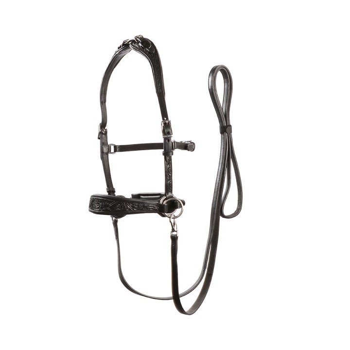 Gebisslose Trensen für Pferde Edix Saddles ED2-Rose