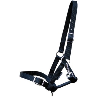 Halfter für Fohlen Harry's Horse