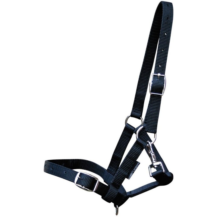 Halfter für Fohlen Harry's Horse