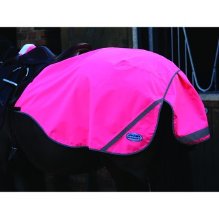 Reflektierende, wasserdichte Nierendecke für Pferde Weatherbeeta 300D