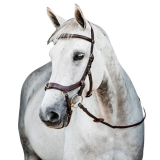 Zaumzeug Reiten Horseware Micklem 2