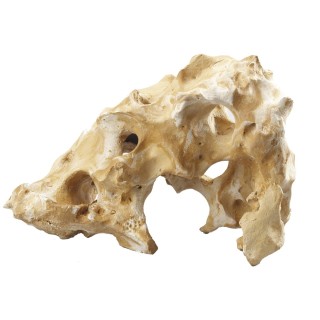 Aquariumdekoration Aqua Della Combo Fella