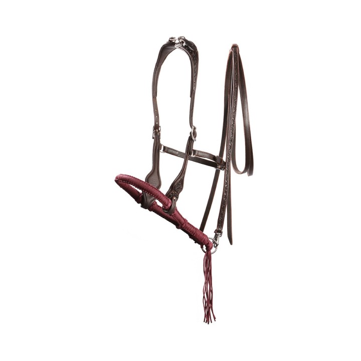 Zaumzeug Reiten Edix Saddles ED3-Rose