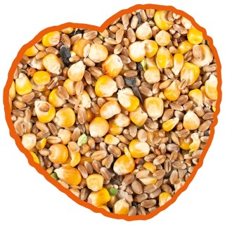 Vollkornmaiskörner für Hühner Duvoplus