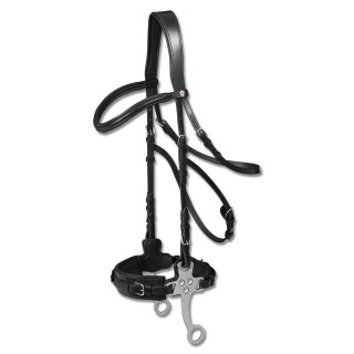 Reittrensen für Pferde Waldhausen X-Line Hackamore