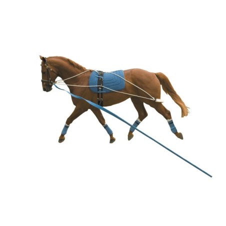Surfix für Pferd Kincade