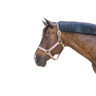 Halsband für Pony Kentucky Breakaway