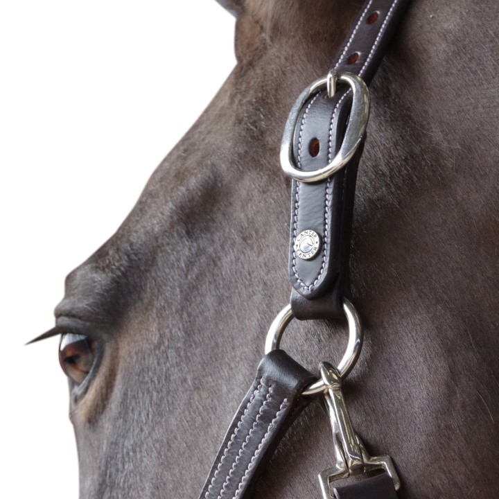 Gepolstertes Halfter aus Leder Canter
