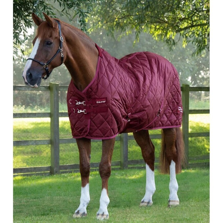 Stalldecke Premier Equine Tuscan 200 g